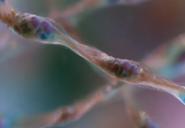An abstract close-up of a cellular DNA strand